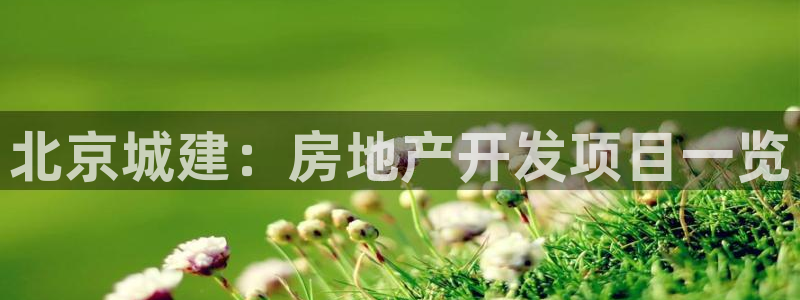 永利皮带官网