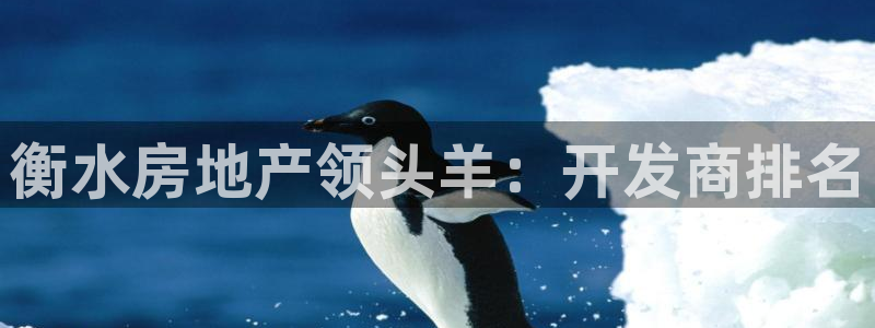 永利集团3044浏览器