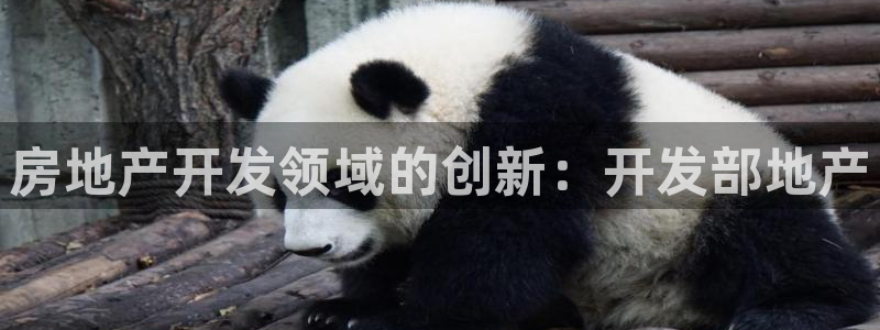 永利房地产有限公司怎么样