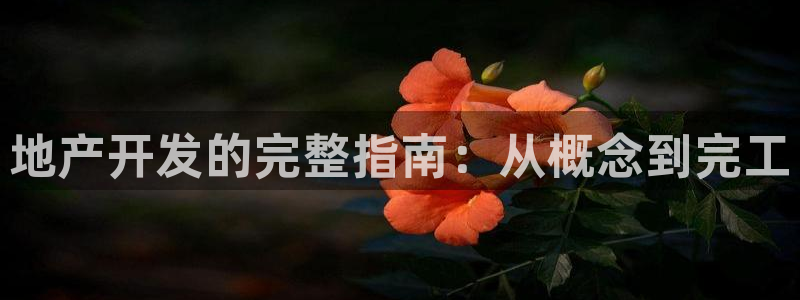 永利钻石会员