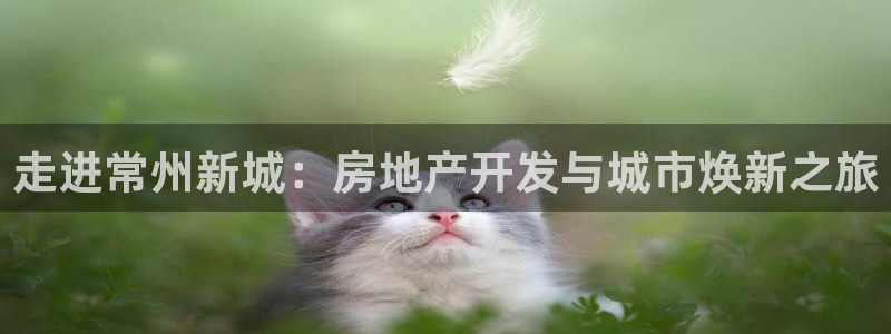永利皮革