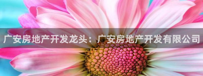 永利地产