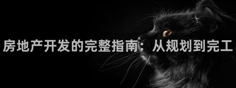永利 陈志玲