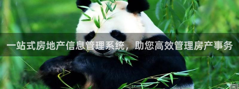 永利网9900777可靠吗