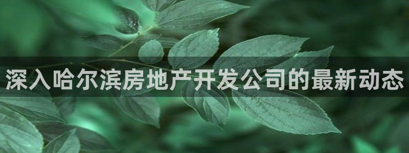 永利购物中心拆迁