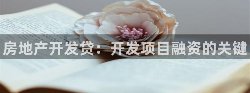 永利皮革有限公司怎么样
