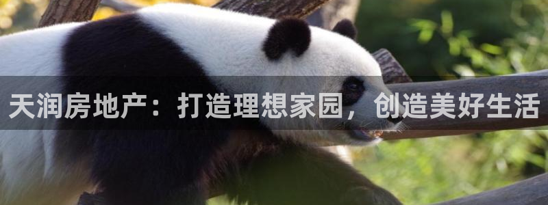 永利会员几个等级