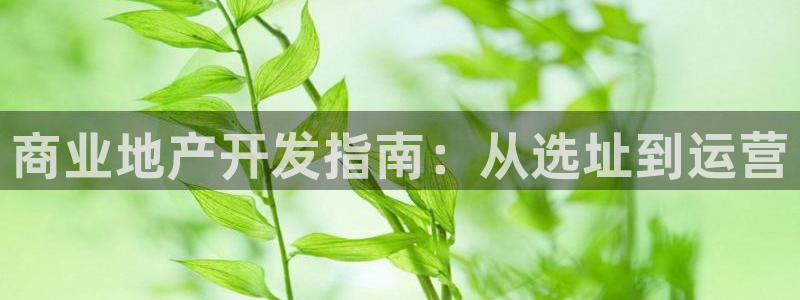 永利电影