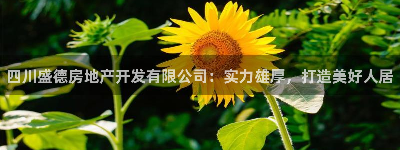 永利集团简介概况