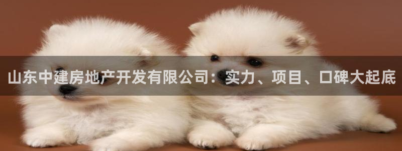 永利黄府黄立青信鸽图片