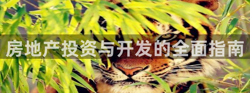 永利厂牌