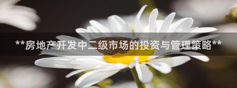 永利皇府黄立青个人资料