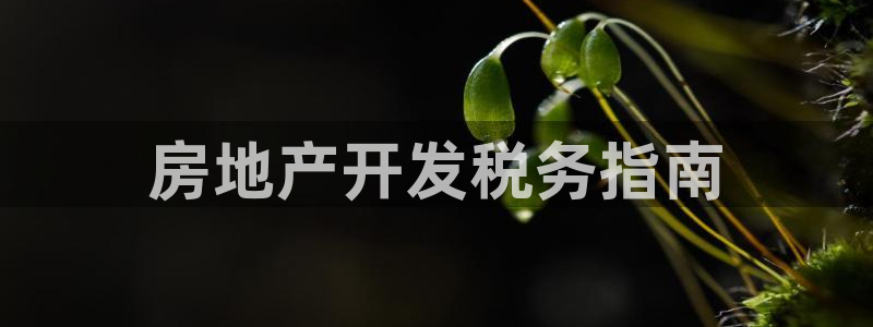 永利房地产有限公司