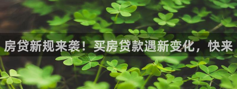 永利皮革有限公司地址