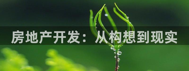 永利官网y