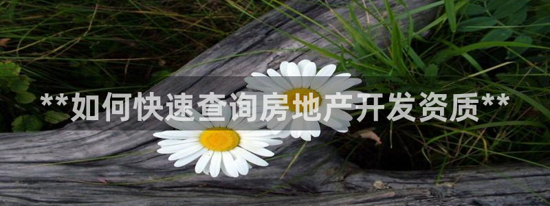 永利玩法