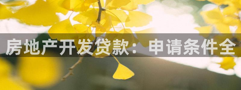 永利房地产开发有限公司总经理