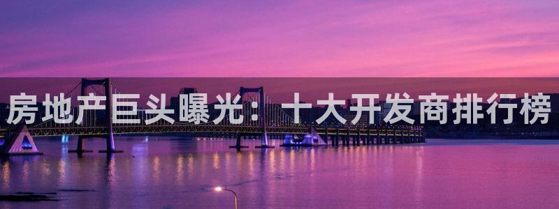 永利皮带型号