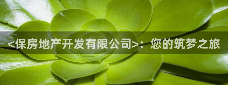永利股票300230