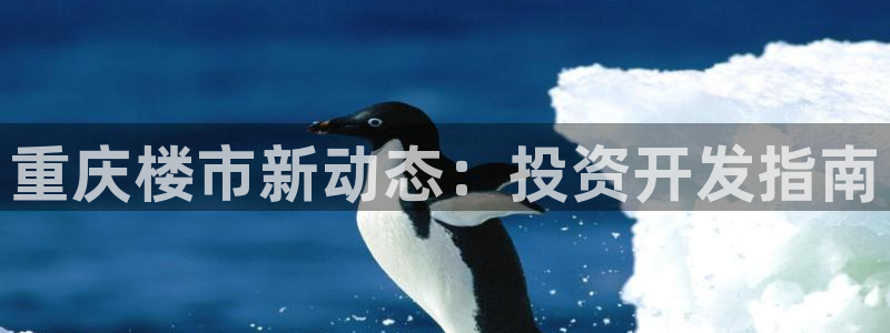 永利钻石会员