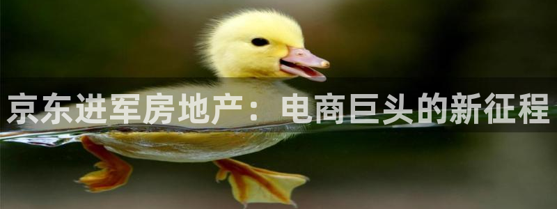 永利皮具厂