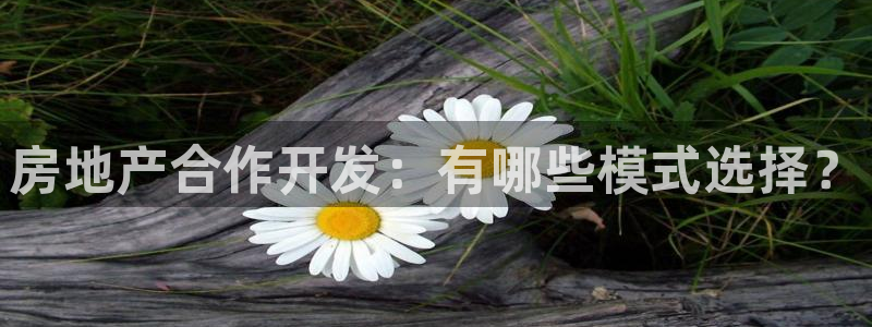 永利官网查询