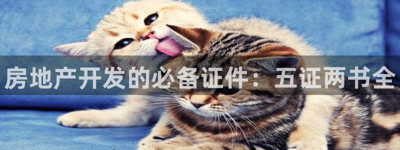 永利输的钱可以弄回来吗现在