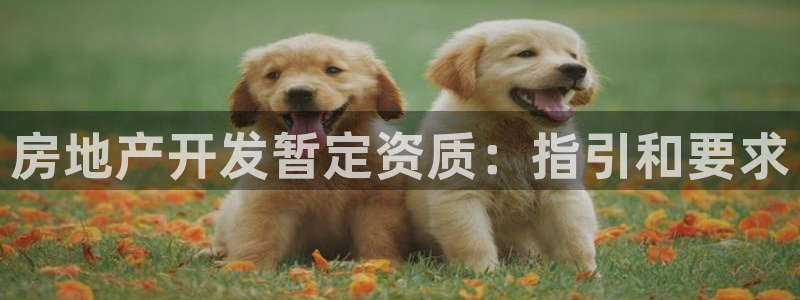 永利表行是正品吗