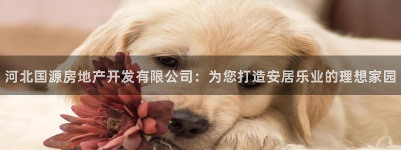 永利制带