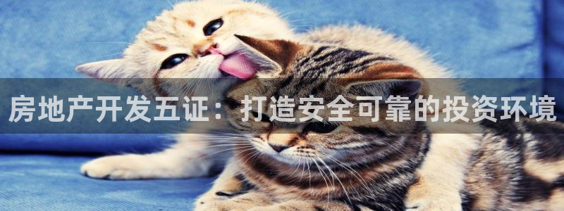永利带业 皮带 输送带 价格
