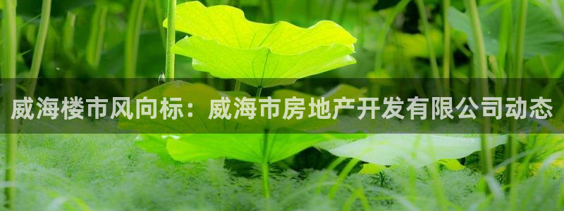 永利皇府黄立青身价