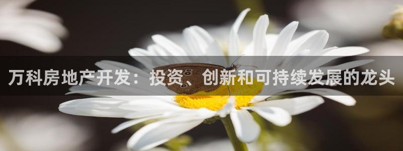 永利背一分什么价格