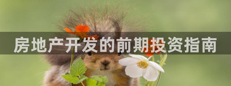 永利网是干什么的,能挣到钱吗安全吗