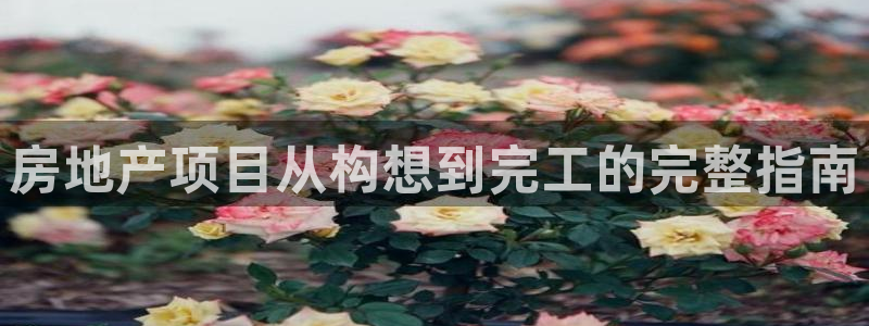 永利股份是什么板块股票?