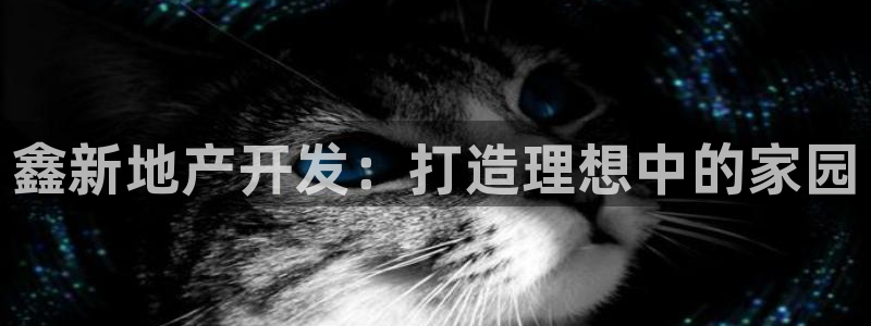 永利皮带型号说明图