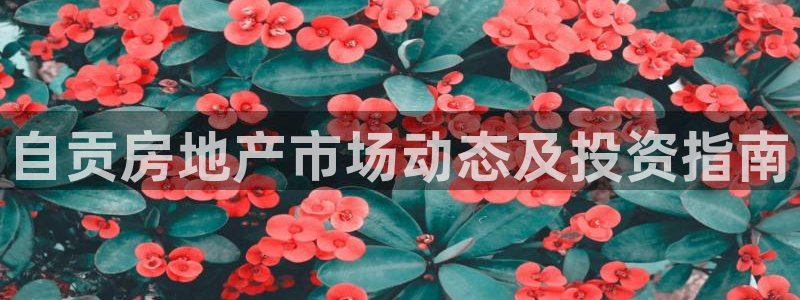 永利提不了款怎么办
