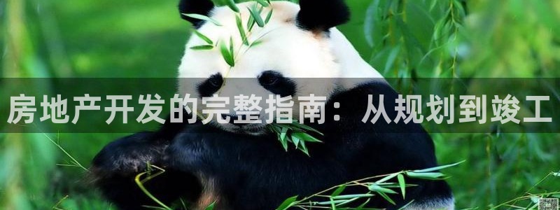 永利混凝土有限公司