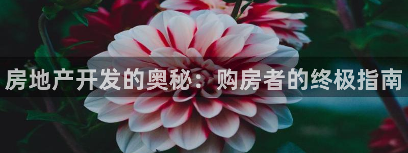 永利厂牌