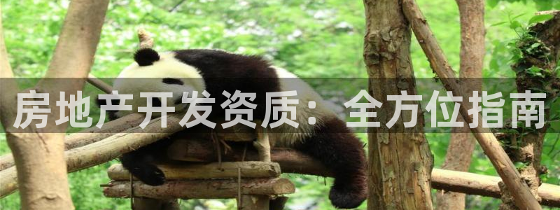 佛山永利车业