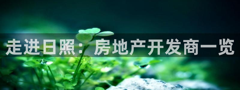 绍兴永利集团董事长
