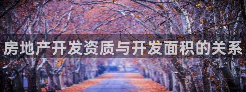 永利汇spa