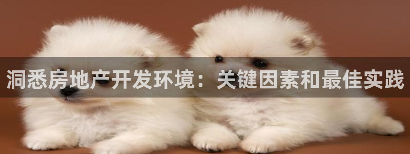 佛山永利工业皮带厂怎么样