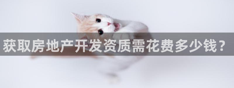 永利网是干什么的,能挣到钱吗知乎