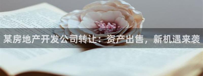 莱州永利集团