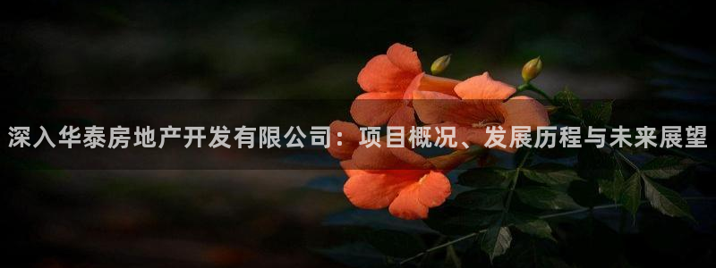 佛山永利工业皮带厂家