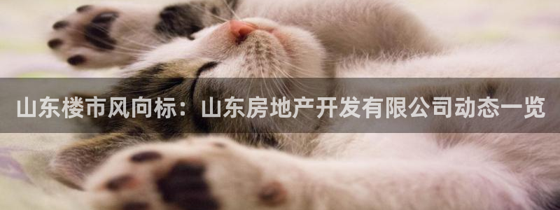 永利制衣有限公司