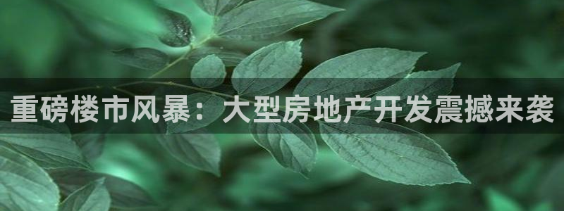 永利来织带厂