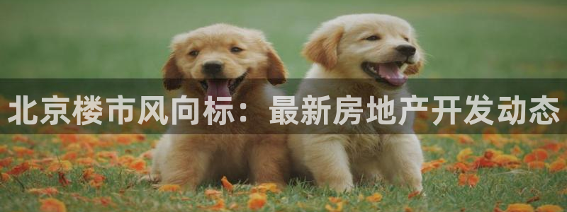 永利表业制品厂
