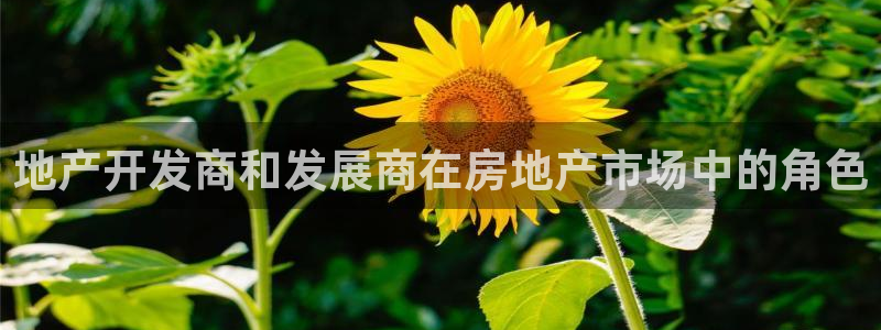 永利 陈志玲