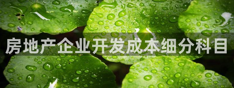 永利塑胶有限公司